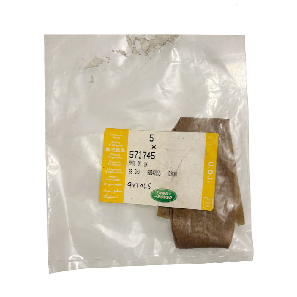 Shim for Swivel Pin Bearing .010" 571745